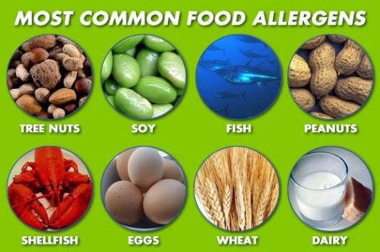 Food Allergies The St Lucia STAR